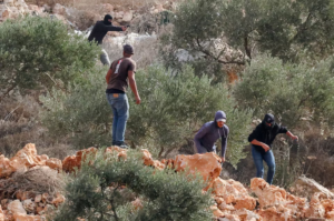 Colonos israelenses atacam palestinos e diplomatas europeus na Cisjordânia, denuncia Bélgica