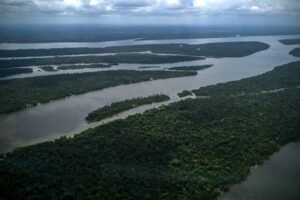 Desmatamento na Amazônia atinge menor nível em 41 anos sob Lula