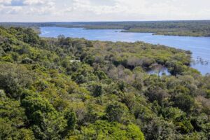 Desmatamento na Amazônia atinge nível mais baixo em quase 40 anos