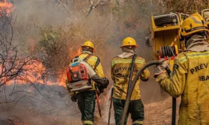FAB reforça combate a incêndios florestais no Amazonas com cargueiros militares