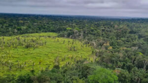 Promessa de Flávio Bolsonaro de congelar demarcações coloca em risco 286 territórios indígenas