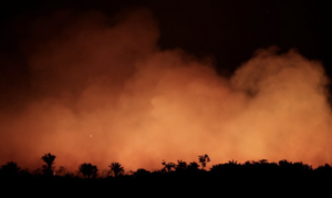 Governo Federal intensifica resposta a incêndios e seca no Amazonas com estrutura de saúde e recursos