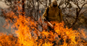 Ministro aponta ação intencional em 540 focos de incêndio no Amazonas registrados em 48 horas