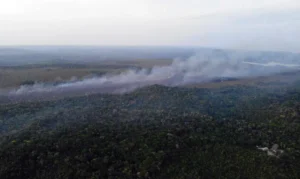 Ministério da Defesa intensifica combate aos incêndios no Pará que deixam ar insalubre