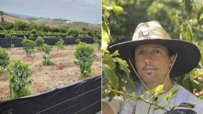 Jason Mraz transforma antiga plantação em fazenda regenerativa na Califórnia