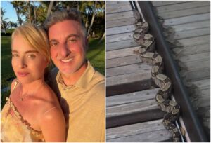 Luciano Huck encontra cobra na mansão no Rio e brinca: ‘não foi convidada’