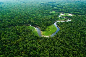 Lula comemora maior vitória ambiental: Amazônia tem menor desmatamento em 41 anos