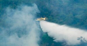Governo Lula extingue 338 incêndios florestais e intensifica ações de proteção da Amazônia